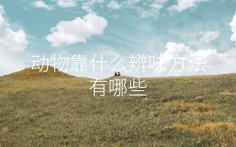 动物靠什么辨味方法有哪些