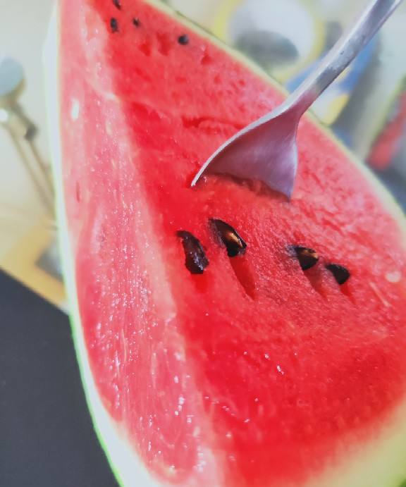 如何挑选到又甜又新鲜的西瓜