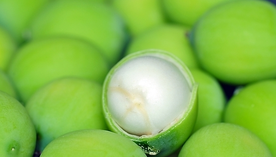 新鲜莲子可以直接吃吗 怎么吃比较好吃