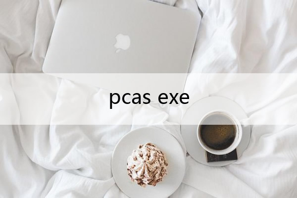 pcas exe
