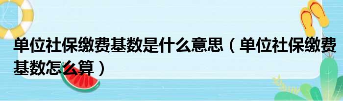 单位社保缴费基数是什么意思 单位社保缴费基数怎么算