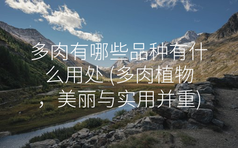 多肉有哪些品种有什么用处 (多肉植物，美丽与实用并重)