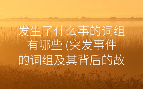 发生了什么事的词组有哪些 (突发事件的词组及其背后的故事)