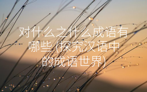 对什么之什么成语有哪些 (探究汉语中的成语世界)