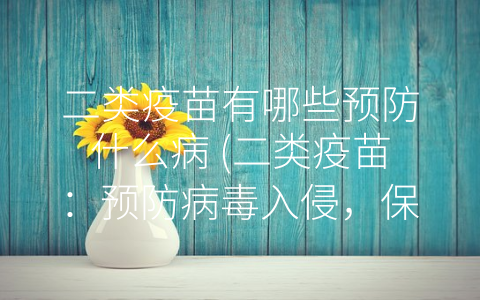 二类疫苗有哪些预防什么病 (二类疫苗：预防病毒入侵，保护健康安全)