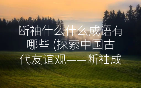 断袖什么什么成语有哪些 (探索中国古代友谊观——断袖成语的由来和意义)