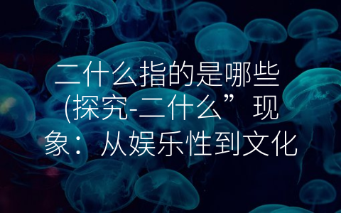 二什么指的是哪些 (探究-二什么”现象：从娱乐性到文化责任)