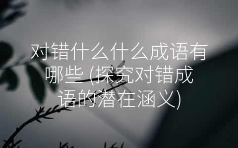 对错什么什么成语有哪些 (探究对错成语的潜在涵义)