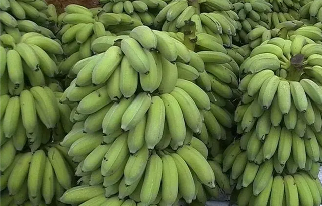 买到的水果不熟怎么办 教你3种安全的催熟方法