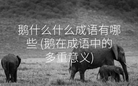 鹅什么什么成语有哪些 (鹅在成语中的多重意义)