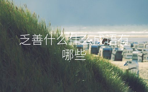 乏善什么什么成语有哪些