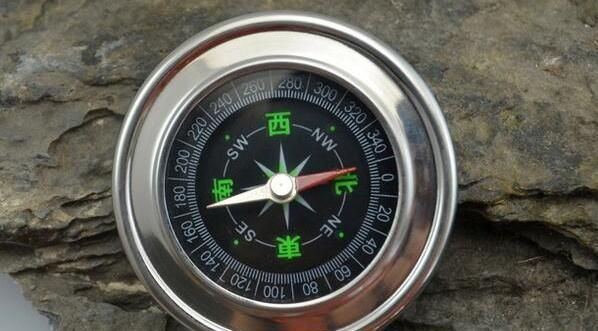 世界上还有哪些天然的指南针