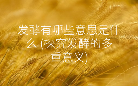 发酵有哪些意思是什么 (探究发酵的多重意义)