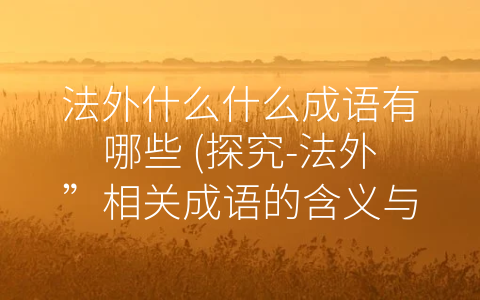 法外什么什么成语有哪些 (探究-法外”相关成语的含义与文化象征)
