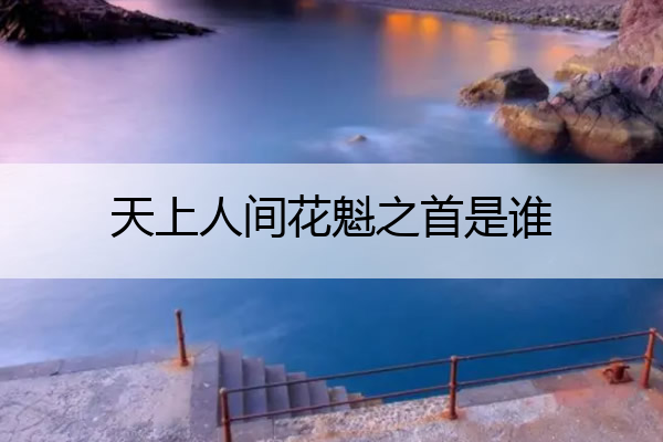 天上人间花魁之首是谁