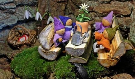 青苔怎么种植怎么培养 盆景如何种植青苔