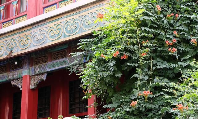 故宫御花园三奇石指的是哪三奇 故宫御花园的三奇石是哪三奇