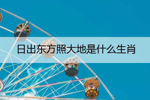 日出东方照大地是什么生肖 日出东方照大地是什么生肖数字