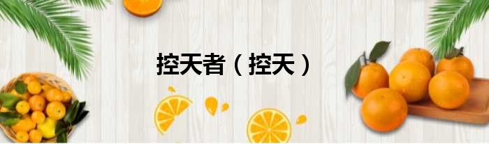 控天者 控天