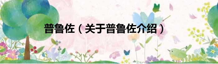 普鲁佐 关于普鲁佐介绍