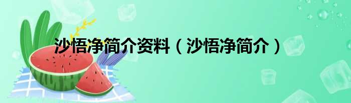 沙悟净简介资料 沙悟净简介