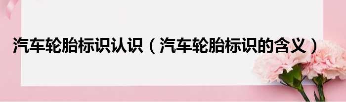 汽车轮胎标识认识 汽车轮胎标识的含义