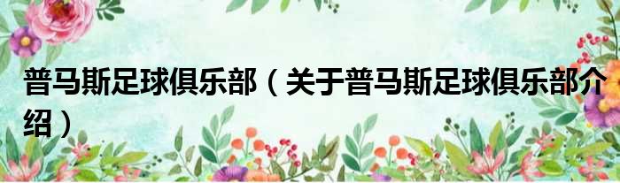 普马斯足球俱乐部 关于普马斯足球俱乐部介绍