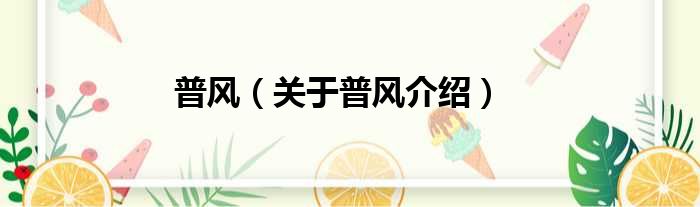 普风 关于普风介绍