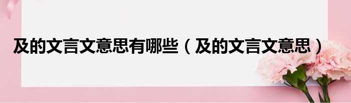 及的文言文意思有哪些 及的文言文意思