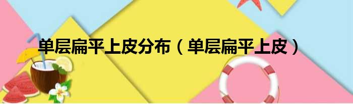 单层扁平上皮分布 单层扁平上皮