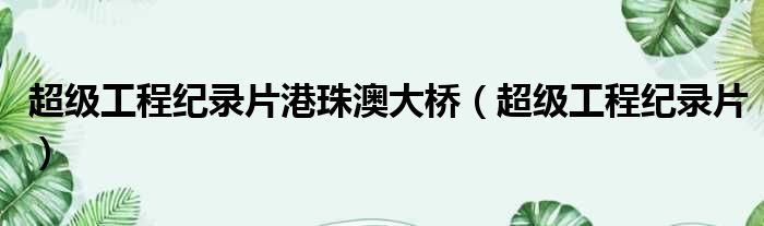 超级工程纪录片港珠澳大桥 超级工程纪录片