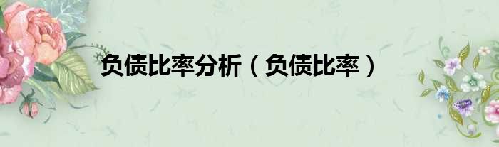 负债比率分析 负债比率