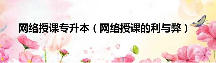 网络授课专升本 网络授课的利与弊