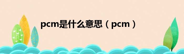 pcm是什么意思 pcm