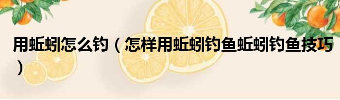 用蚯蚓怎么钓 怎样用蚯蚓钓鱼蚯蚓钓鱼技巧