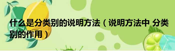 什么是分类别的说明方法 说明方法中 分类别的作用