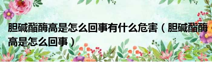 胆碱酯酶高是怎么回事有什么危害 胆碱酯酶高是怎么回事