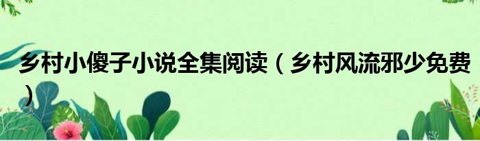 乡村小傻子小说全集阅读 乡村风流邪少免费