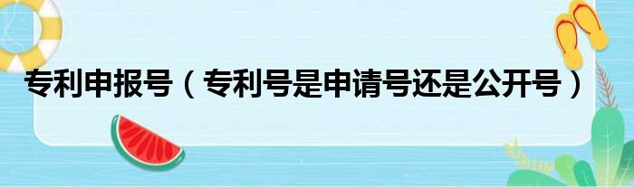 专利申报号 专利号是申请号还是公开号