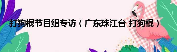 打狗棍节目组专访 广东珠江台 打狗棍