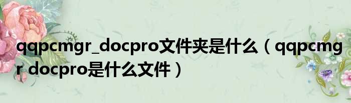 qqpcmgr docpro文件夹是什么 qqpcmgr docpro是什么文件