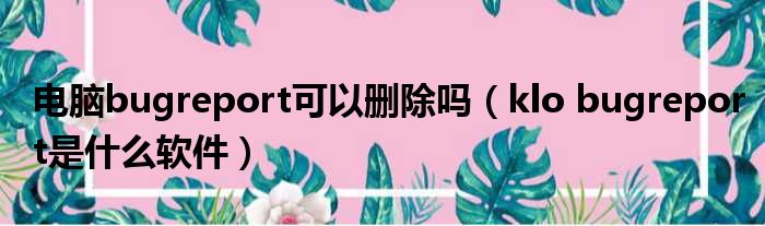 电脑bugreport可以删除吗 klo bugreport是什么软件