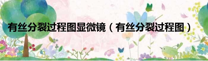 有丝分裂过程图显微镜 有丝分裂过程图