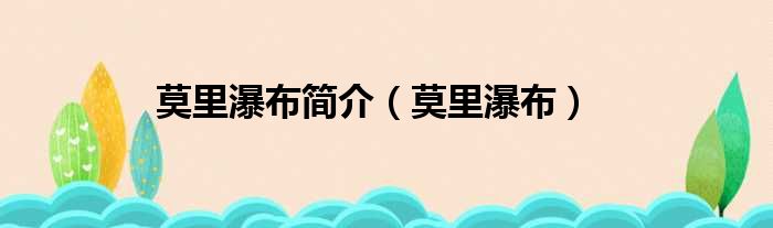 莫里瀑布简介 莫里瀑布