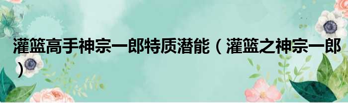 灌篮高手神宗一郎特质潜能 灌篮之神宗一郎