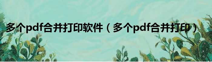 多个pdf合并打印软件 多个pdf合并打印