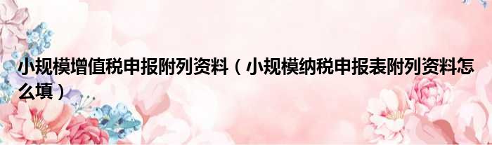 小规模增值税申报附列资料 小规模纳税申报表附列资料怎么填