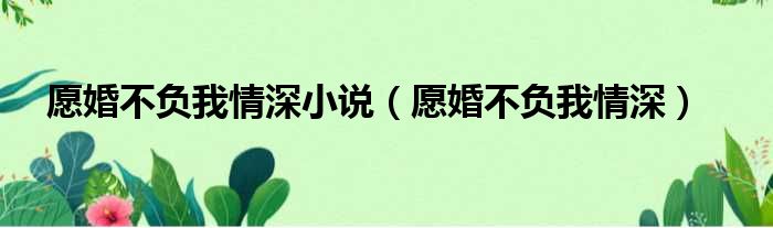 愿婚不负我情深小说 愿婚不负我情深