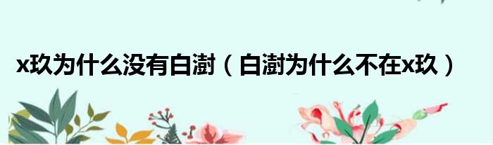 x玖为什么没有白澍 白澍为什么不在x玖