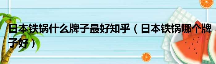 日本铁锅什么牌子最好知乎 日本铁锅哪个牌子好
